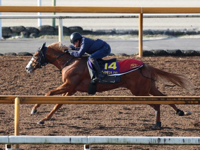 【朝日杯FS1週前追い】ダイヤモンドノット　時計も動きも◎　福永師「1F延長がどうか」