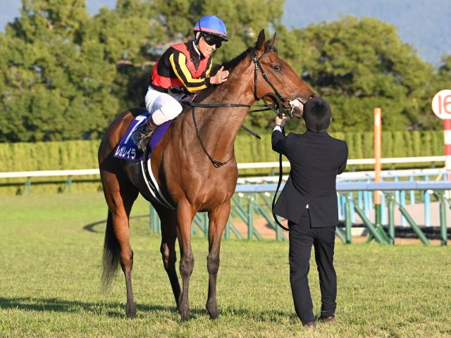 【有力馬動向】レガレイラ有馬連覇へ視界良好/馬三郎のつぶやき