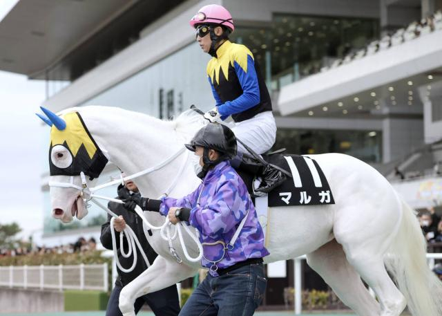 【中京9R・つわぶき賞】ソダシ半妹の白毛マルガは追い込み届かず3着　武豊騎手「伸びてゴールできた」