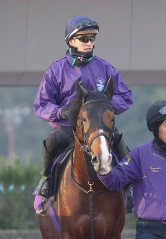 【朝日杯FS】無傷2連勝中のアドマイヤクワッズが前走後に見せた進化とは　陣営「今は成長しているんでしょうね」