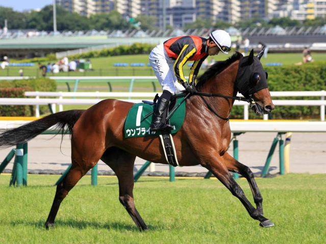 【ターコイズS見どころ】復調ムードのウンブライルが重賞初制覇を狙う