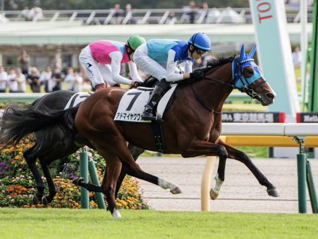 【朝日杯FS見どころ】アドマイヤクワッズが無傷戴冠を狙う