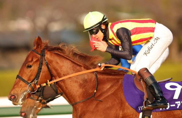 2歳女王スターアニスは激闘後も普段と変わらない様子　陣営「ヘトヘトになっているという感じはありません」