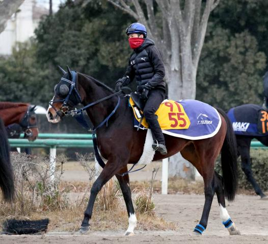 【ターコイズS・角田の特注馬】1週前追い切りが過去最高レベルの動き!　ボンドガールがついに2勝目だ