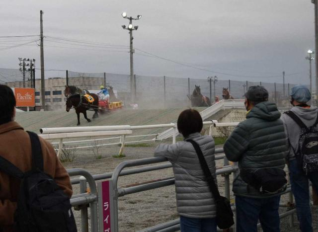【ばんえい競馬】降雪の影響で15日の開催取りやめ　代替開催はなし