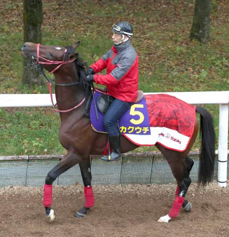【朝日杯FS】カクウチは勝利の美酒で乾杯目指す　陣営「放牧から大きくなって戻ってきた」