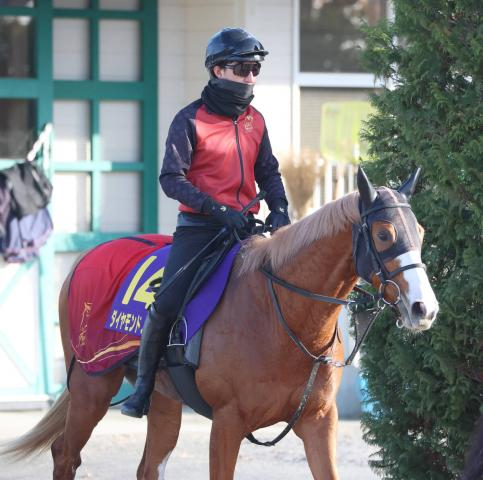 【朝日杯FS】福永厩舎のダイヤモンドノットは中間も中身の濃い調教　陣営「食べるので調教も積めています」