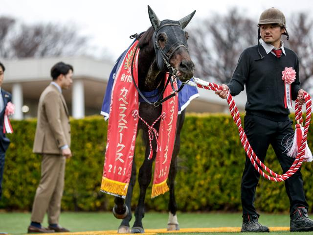 【カペラS】売上は37億666万1800円で昨年より約4.7億円増加