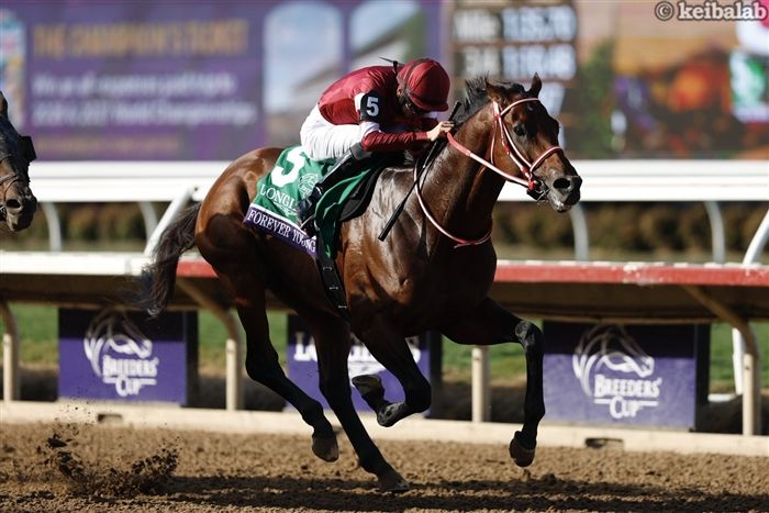 フォーエバーヤングの年度代表馬確定！