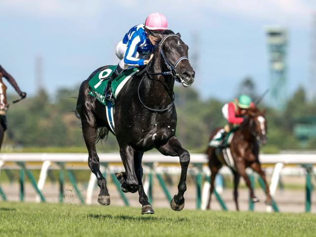 【朝日杯FS想定騎手】リアライズシリウスは津村明秀騎手、アドマイヤクワッズは坂井瑠星騎手