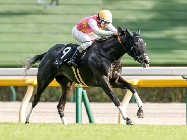 【ターコイズS展望】牝馬限定のハンデ戦をジューンオレンジが制する