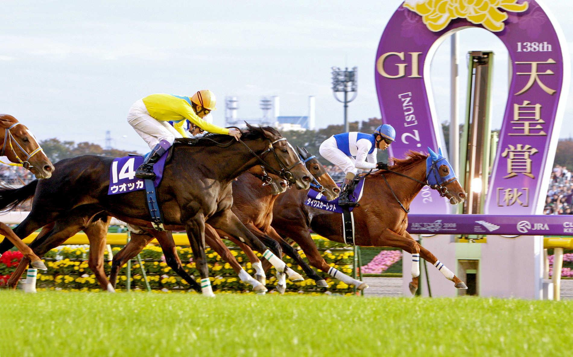 魅力あふれる競馬の現場　美浦＆栗東トレセンで日刊紙＆専門紙の仕事を経験する“唯一無二”の競馬記者に