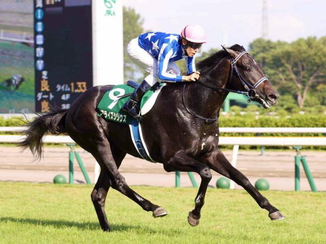 【朝日杯FS・超ブル診断データ編】阪神JFはスターアニスを推奨　2歳マイル王決定戦も「大きい」が正解!