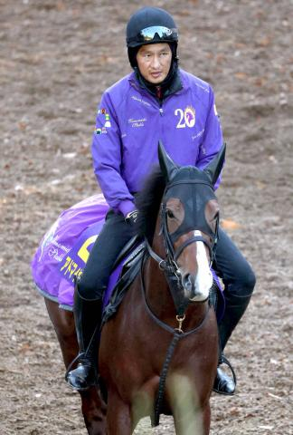 【朝日杯FS・考察】三拍子そろうリアルスティール産駒の信頼度かなり高い　ルーキー松ケ下記者アドマイヤクワッズに注目