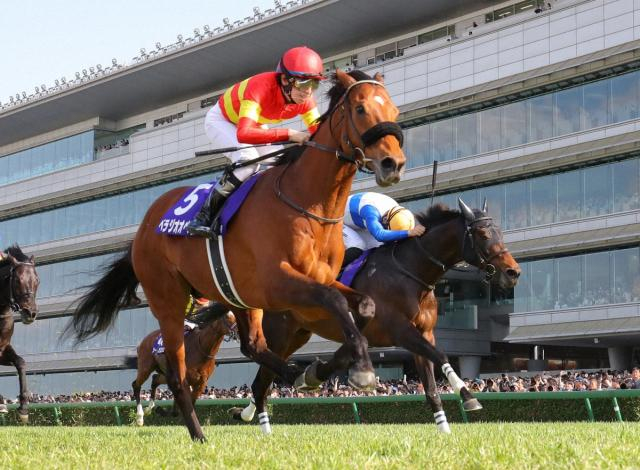 大阪杯連覇ベラジオオペラ引退…社台SSで種牡馬入り　香港C2着がラストラン