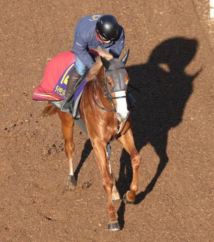 【朝日杯FS】ダイヤモンドノット　千六もこなせる　福永師「展開に左右されない強みある」