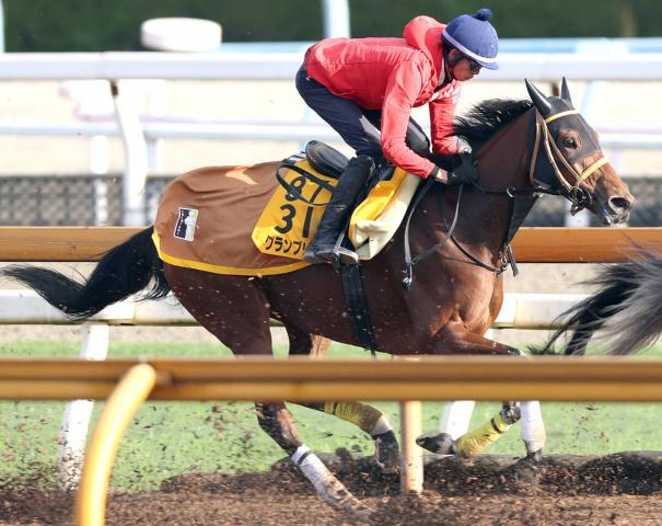 【注目馬動向】グランブリッジは東京大賞典がラストラン　ダートで重賞5勝