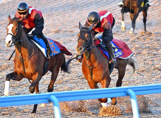 【朝日杯FS】動き最高評価G!　エコロアルバは微調整でも好時計　田村調教師も「時計は出ちゃいますね」と手応え