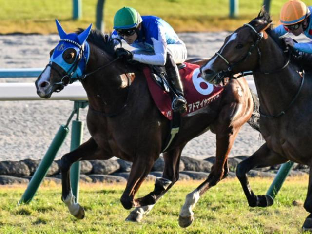 【朝日杯FS】リアルスティール産駒のJRA・GI初制覇なるか アドマイヤクワッズが無敗戴冠狙う