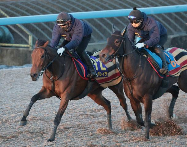 【有馬記念1週前追い】レガレイラ　ラスト11秒3で併入　日を追うごとに上昇「いい変化があれば」