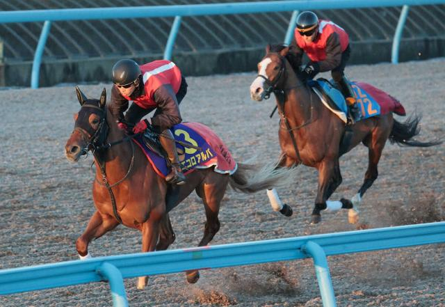 【朝日杯FS】サウジRC出走組と好相性　高速決着にはやや不安