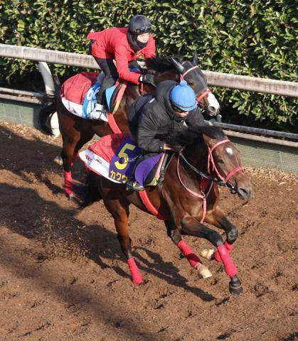 【朝日杯FS】カクウチ　シャープな動きで2馬身先着　小崎師「成長しています」