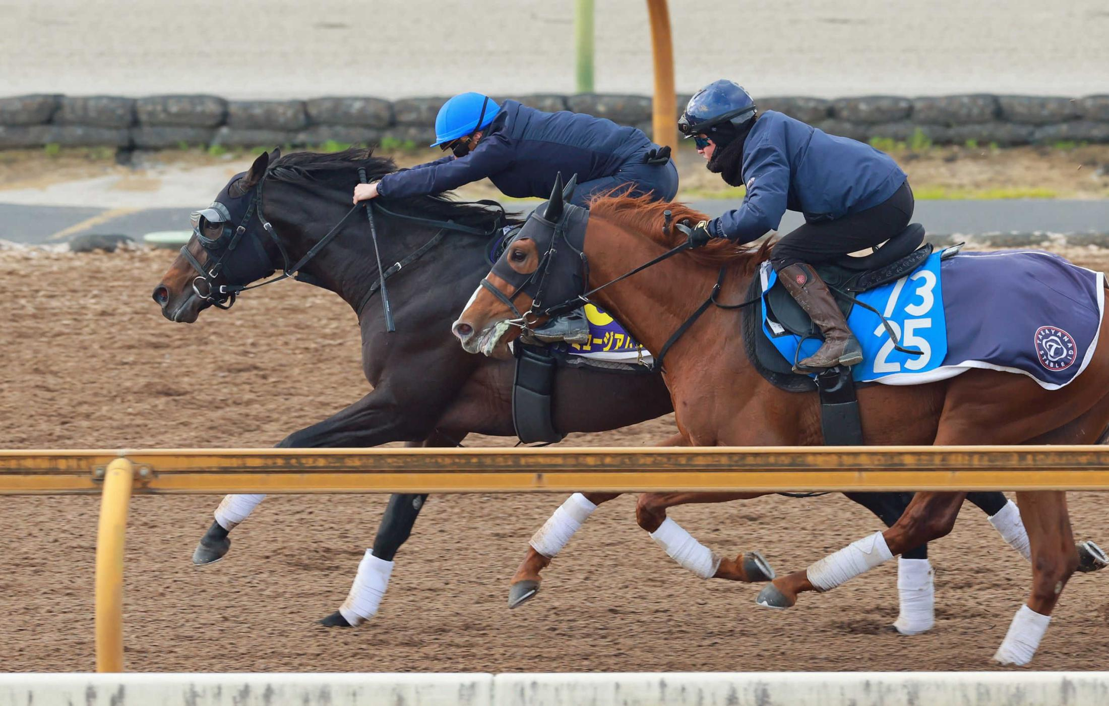 【有馬記念】ミュージアムマイル　驚速自己ベスト６Ｆ７８秒５“限界突破”の高仕上がり　Ｃ・デムーロ「前回より上」