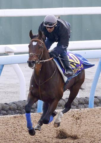 23年日本ダービー馬タスティエーラは有馬記念がラストラン　種牡馬入りへ