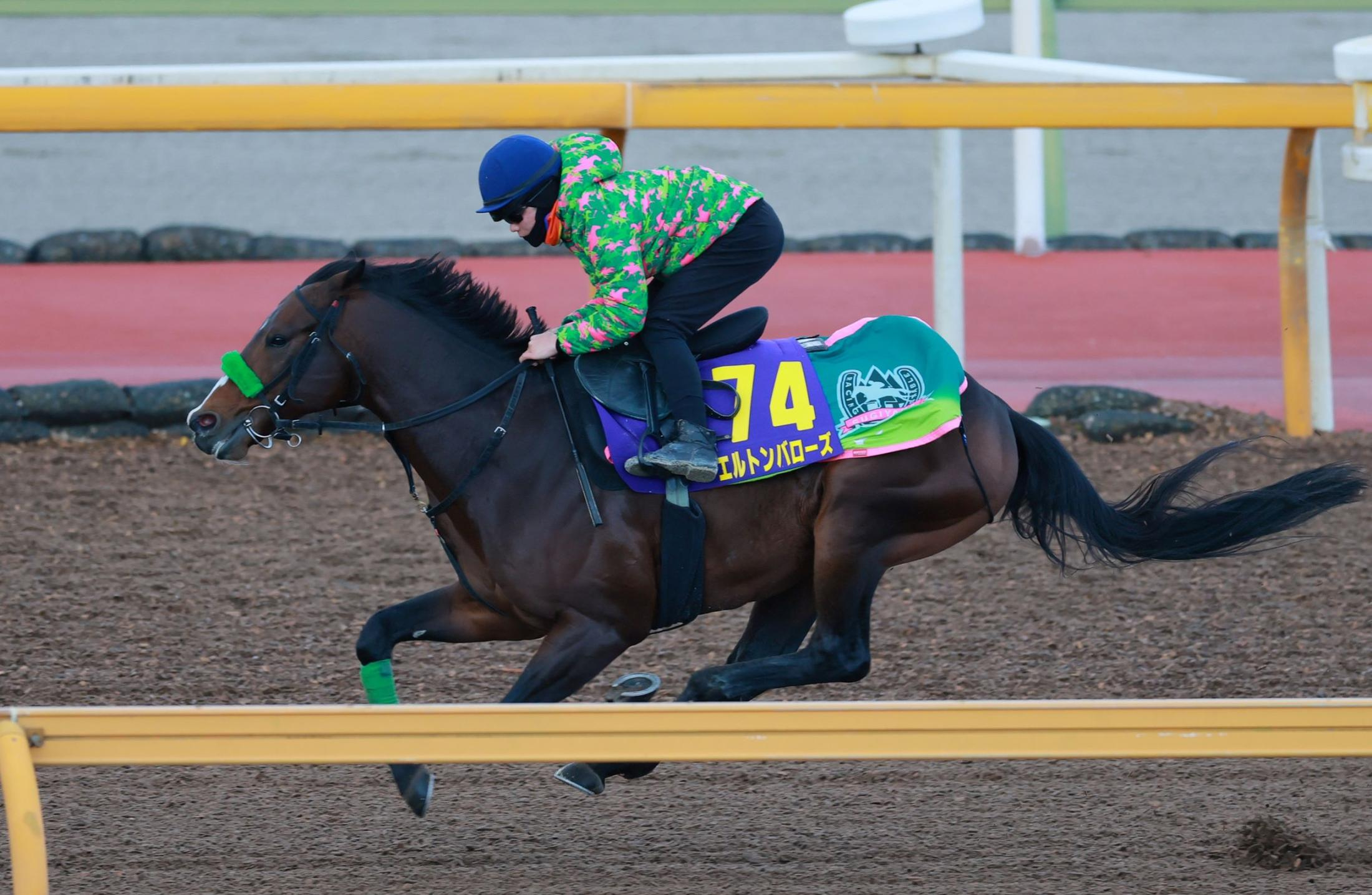 【有馬記念】エルトンバローズ　杉山晴師も納得の動き「時計も出て乗り役の評価はかなり良かった」