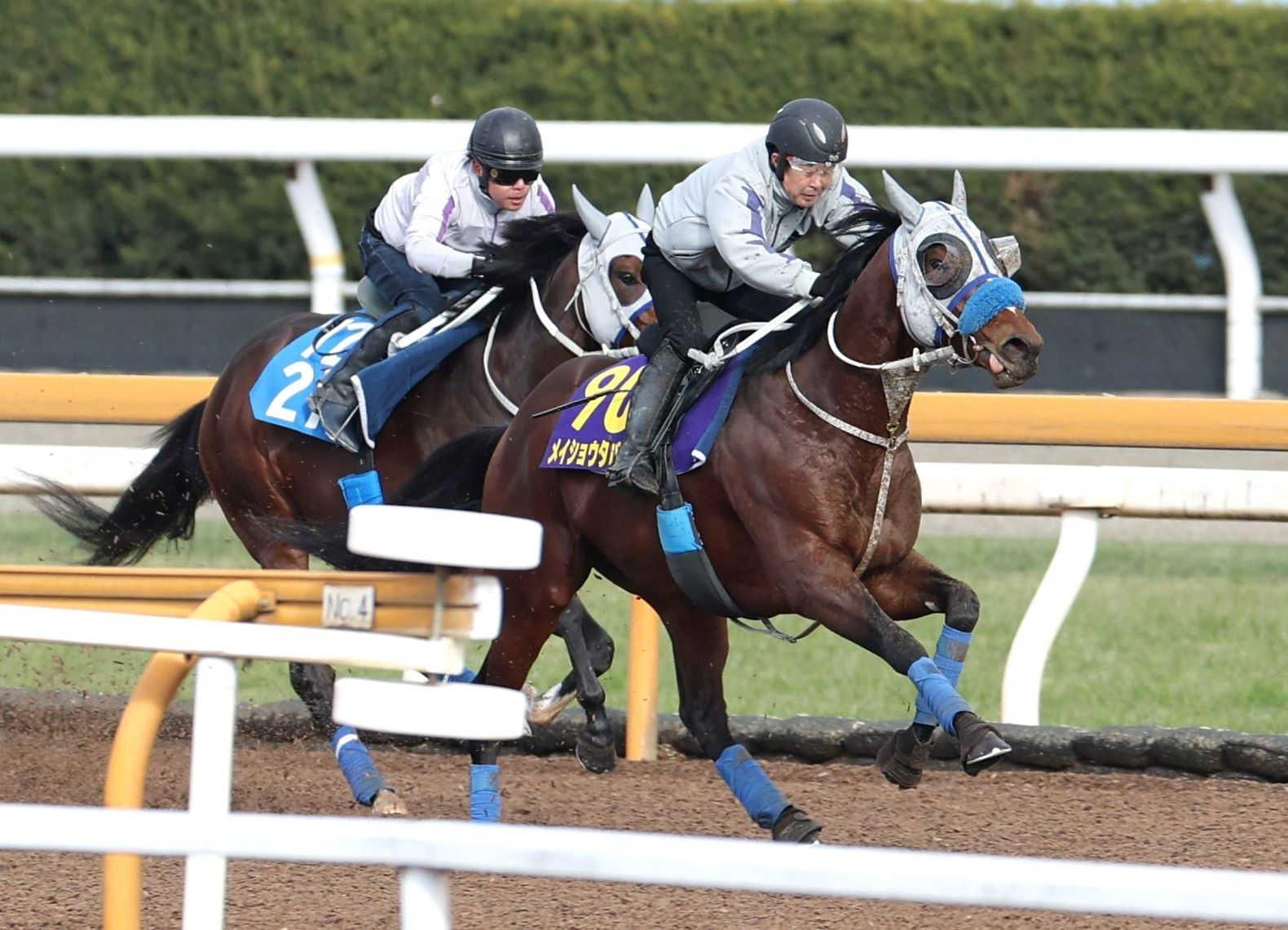【有馬記念】メイショウタバル　着々上昇！　石橋師「予定通り。いい追い切り」　状態は「宝塚記念と同じくらい」