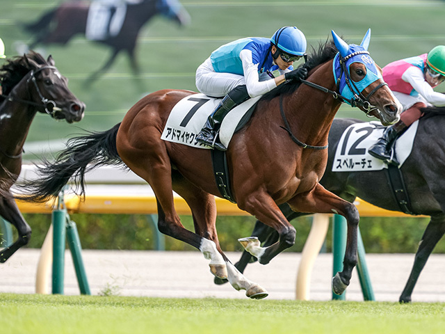 【朝日杯FS枠順確定】アドマイヤクワッズは7枠12番、リアライズシリウスは8枠13番