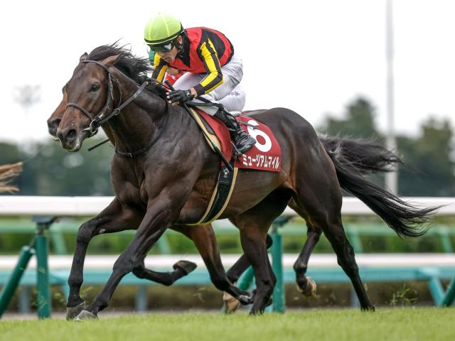 【有力馬動向】ミュージアムマイルが栗東CWで猛時計！ 出来は全く問題なし/馬三郎のつぶやき