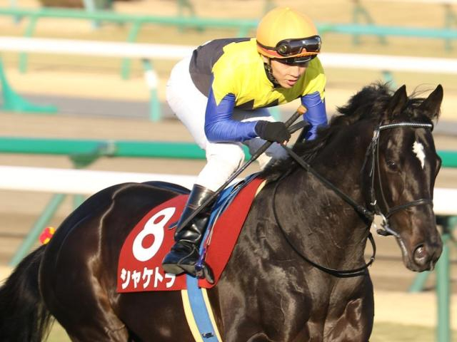 金子真人オーナーの1.5億円馬 ランブルスコがデビュー勝ちなるか