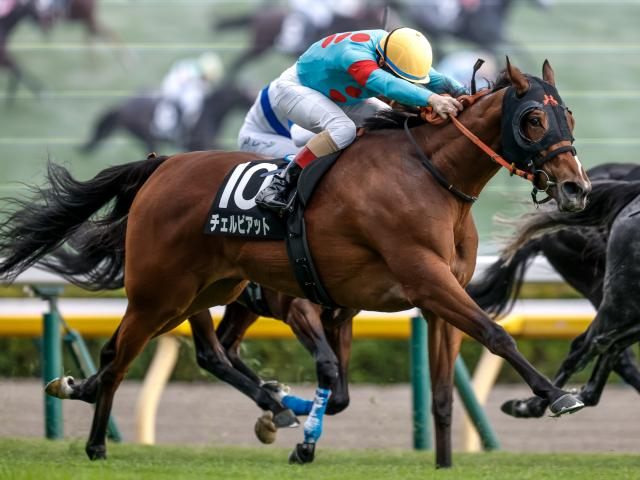 【ターコイズS】半姉は名牝ショウナンパンドラ チェルビアットがきょうだい3頭目の重賞制覇なるか