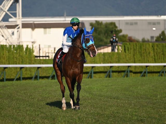 【今日の注目ポイント】阪神で2歳マイル王決定戦・朝日杯FS