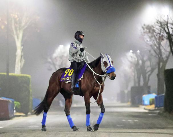【有馬記念】大一番に向け仕上がりは順調　メイショウタバルが一年を締めくくる　陣営「ハミを抜いて走れていた」