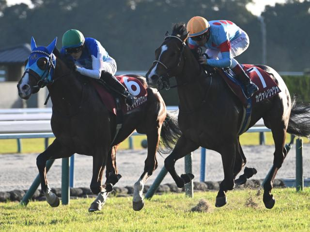 朝日杯FSは道悪必至 パワー型のカヴァレリッツォ＆エコロアルバに期待