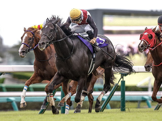 【阪神C】ルガル、ナムラクレアらが登録