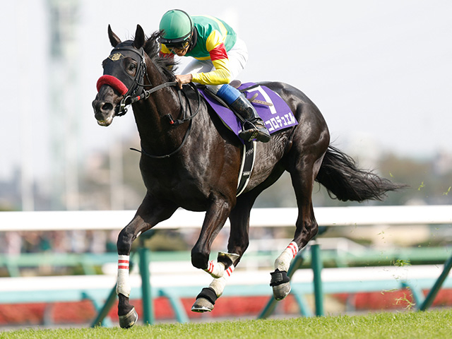 【中山大障害】エコロデュエル、ネビーイームらが登録