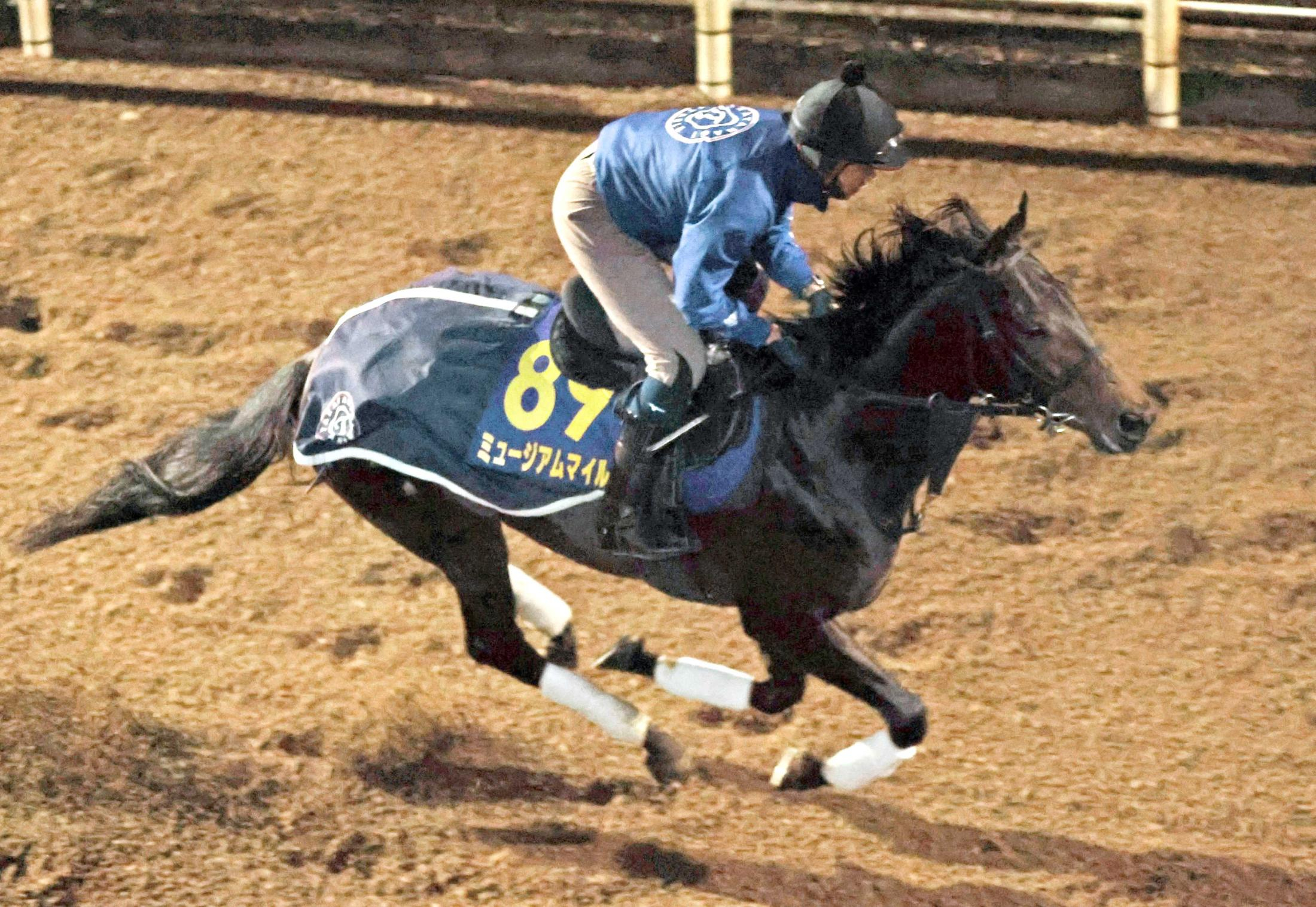 【有馬記念】ミュージアムマイルは充実一途　高柳大師「思い描いていた通りの調整ができた」