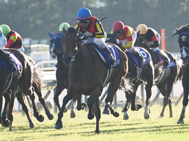 【有馬記念見どころ】昨年の覇者で充実期のレガレイラが連覇に挑む