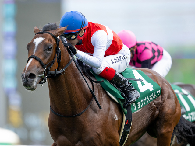 【ホープフルS見どころ】ショウナンガルフが無敗戴冠を狙う