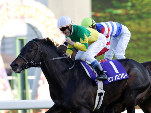 有馬記念勝ち時計ランキング 04年秋古馬三冠Vの快挙が今なお1位