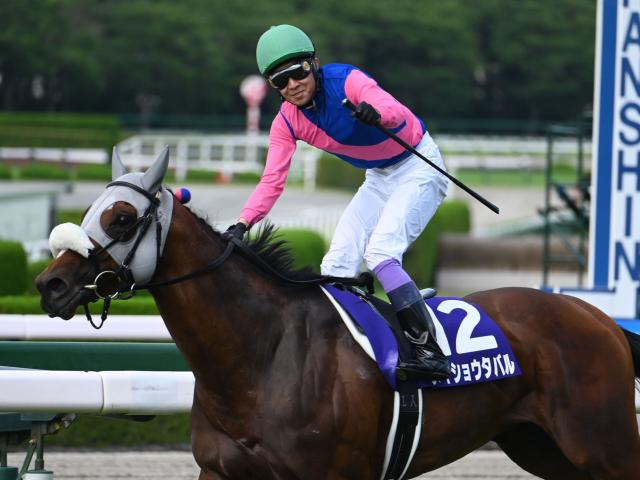 「あなたが有馬記念で“夢を託す”一頭は？」 大一番を前に熱き思いが続々と