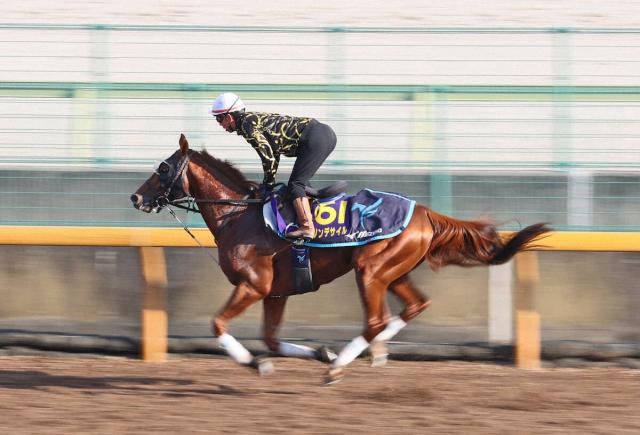 有馬記念のプレレーティング　JRAが発表　1位は…