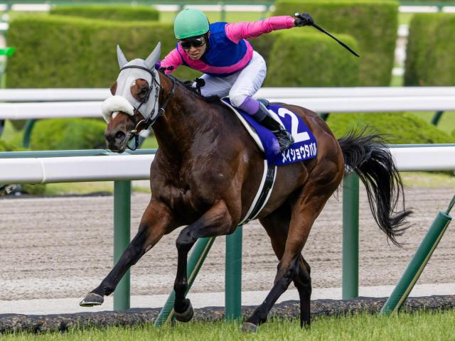 【有馬記念】武豊騎手が歴代単独トップの5勝目なるか 宝塚記念覇者のメイショウタバルで参戦