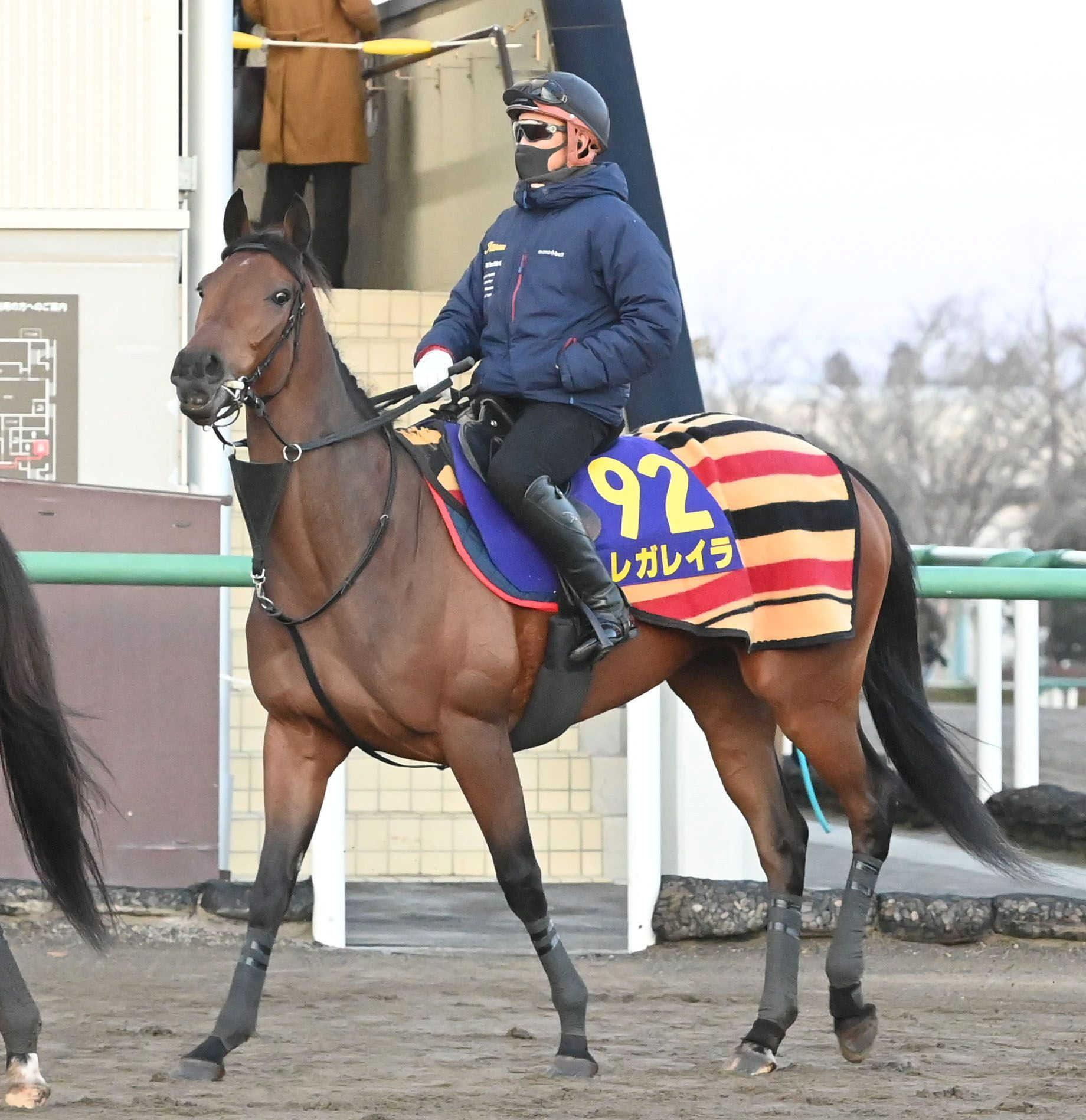 【有馬記念】レガレイラ　史上初牝馬の連覇へ視界良好　データも断トツ１位　１７年覇者キタサンブラックに並ぶ４９ポイント