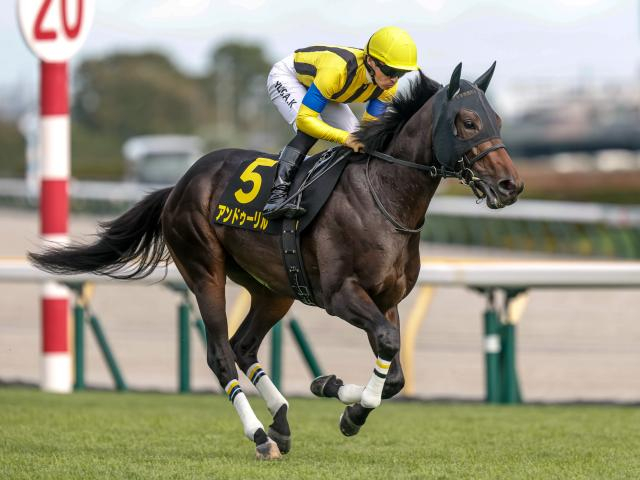 【ホープフルS想定騎手】アンドゥーリルは川田将雅騎手、ショウナンガルフは池添謙一騎手