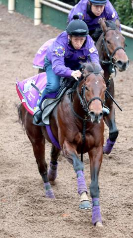 【ホープフルS】1戦1勝馬ラヴェニューはパワフルに先着　友道調教師「2歳馬とは思えない風格がある」