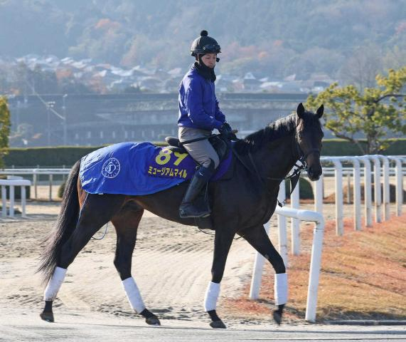 【有馬記念】C・デムーロ×サンデーR黄金タッグ　JRA・G1で勝率22.2%、連対率66.7%